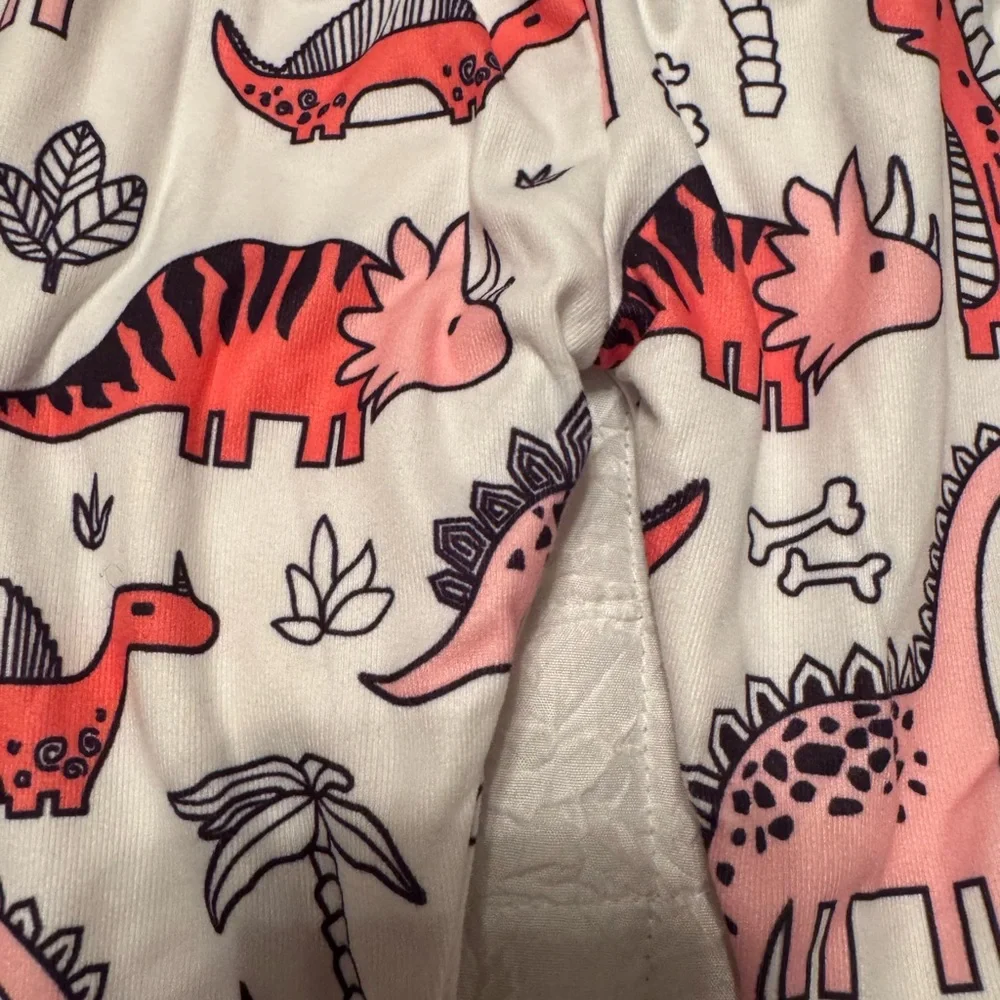 Dinosaur Print Baby Outfit Set 9 months NWOT never worn.